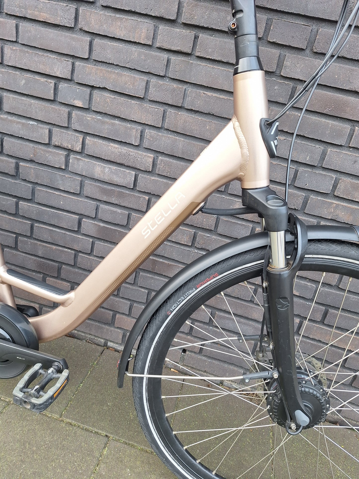 Stella Livorno Gold FDST (57)