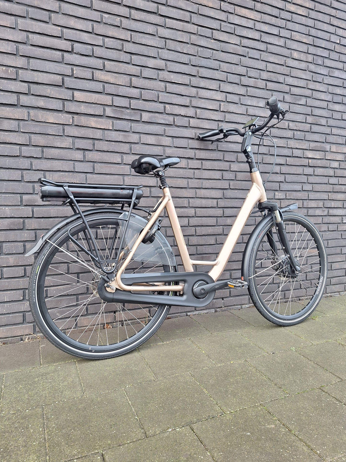 Stella Livorno Gold FDST (57)