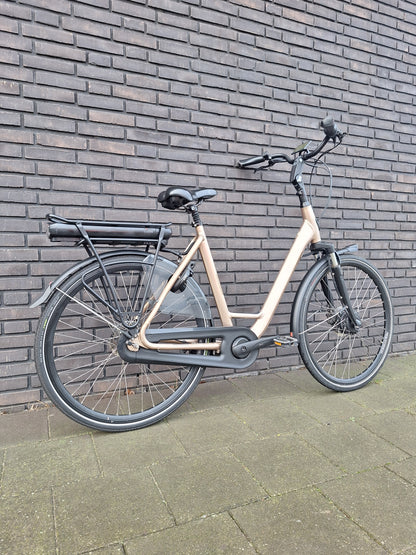 Stella Livorno Gold FDST (57)