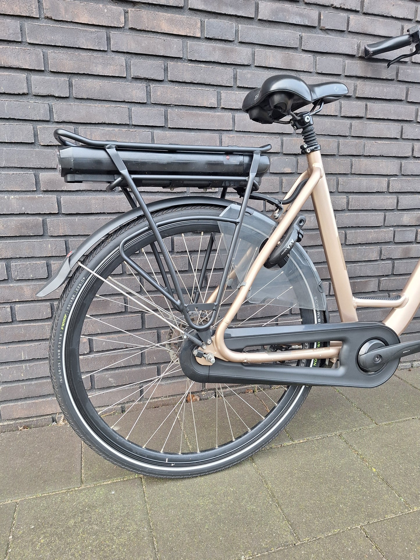 Stella Livorno Gold FDST (57)