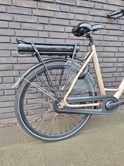 Stella Livorno Gold FDST (57)