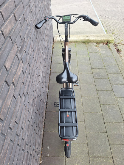 Stella Livorno Gold FDST (57)