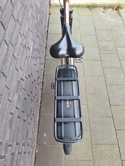 Stella Livorno Gold FDST (57)