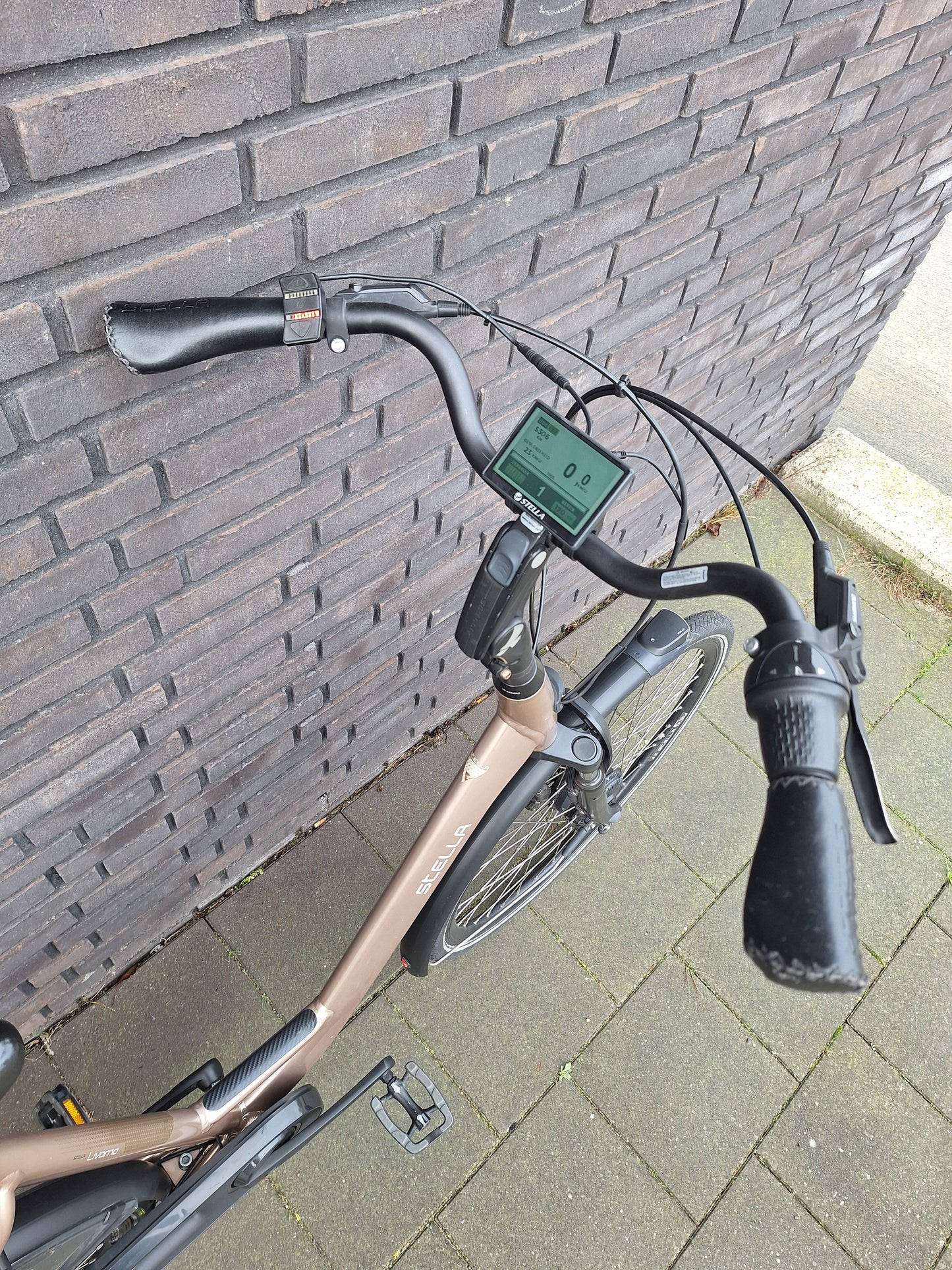 Stella Livorno Gold FDST (57)