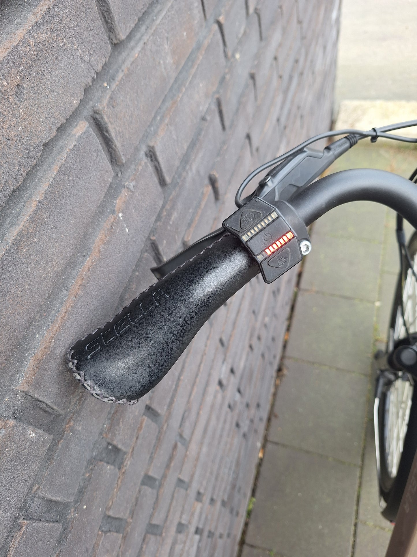 Stella Livorno Gold FDST (57)