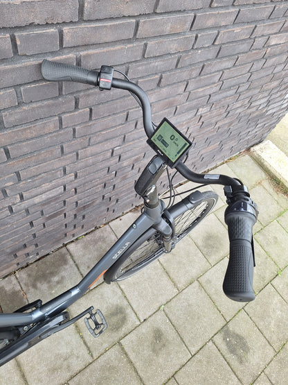 Stella Livorno Frost Blue FDST (57)