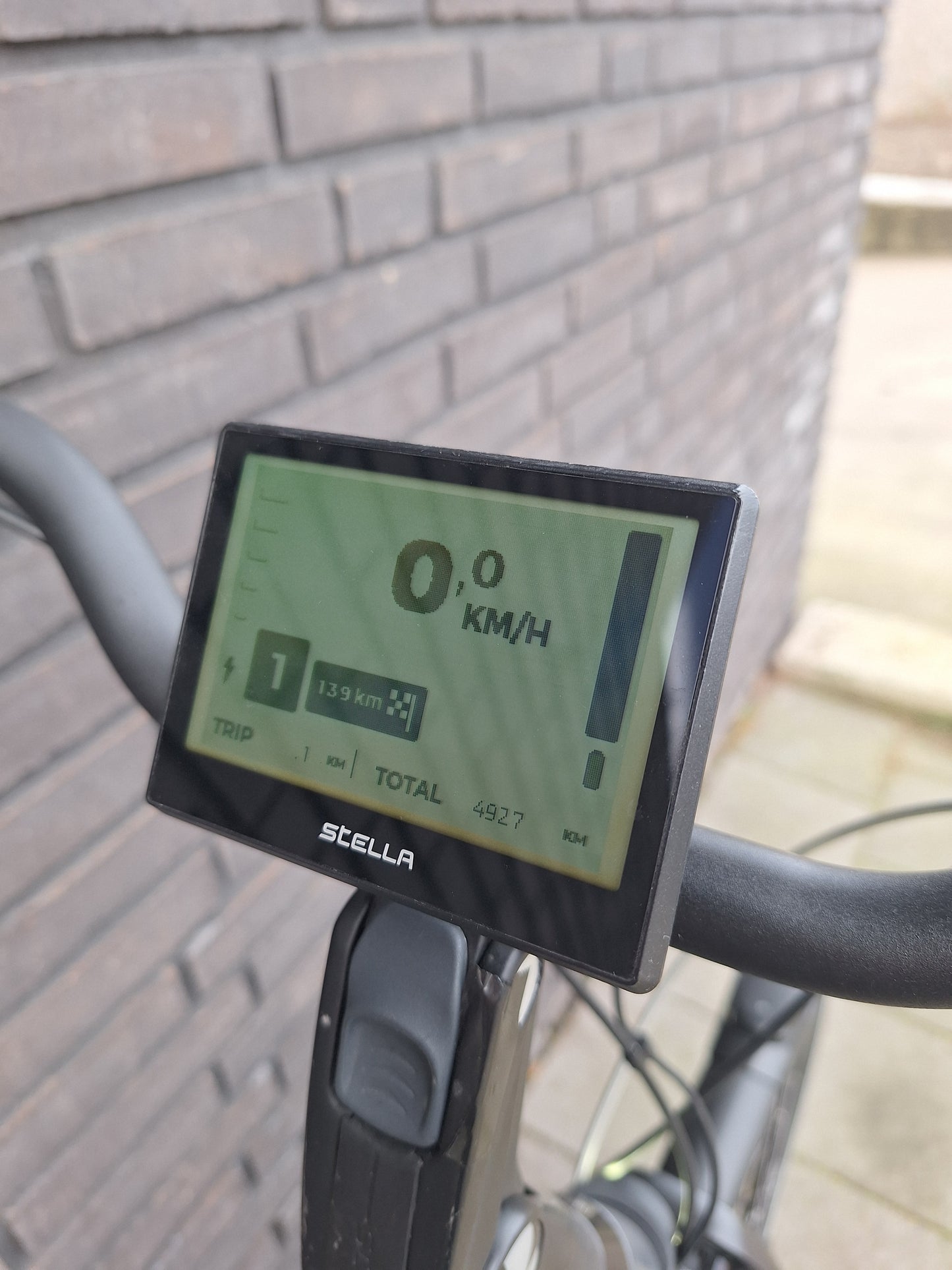 Stella Livorno Frost Blue FDST (57)