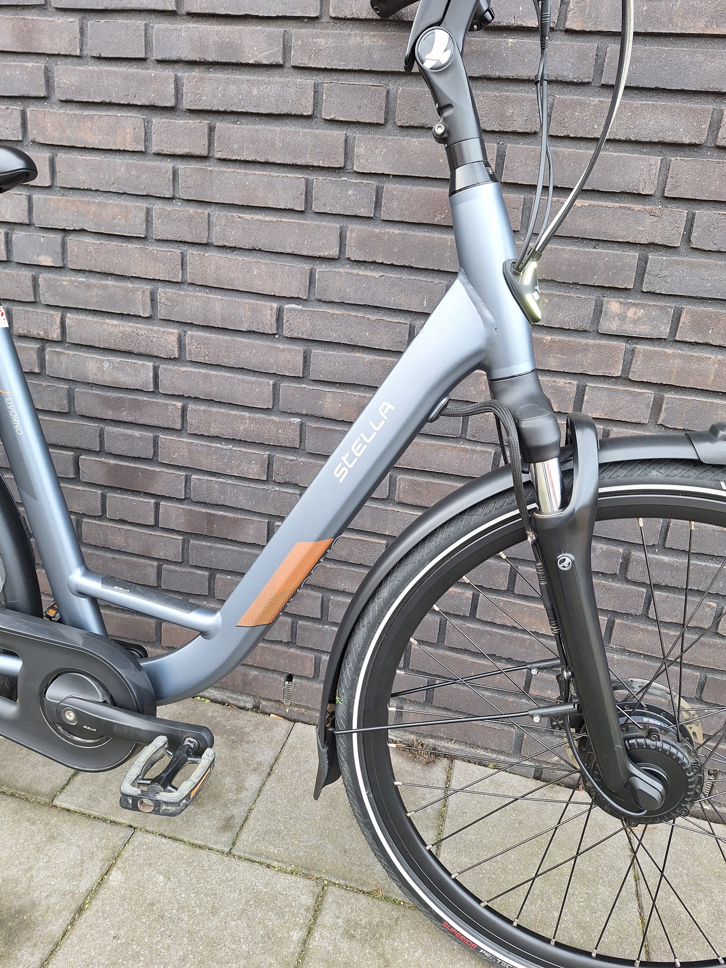 Stella Livorno Frost Blue FDST (53)