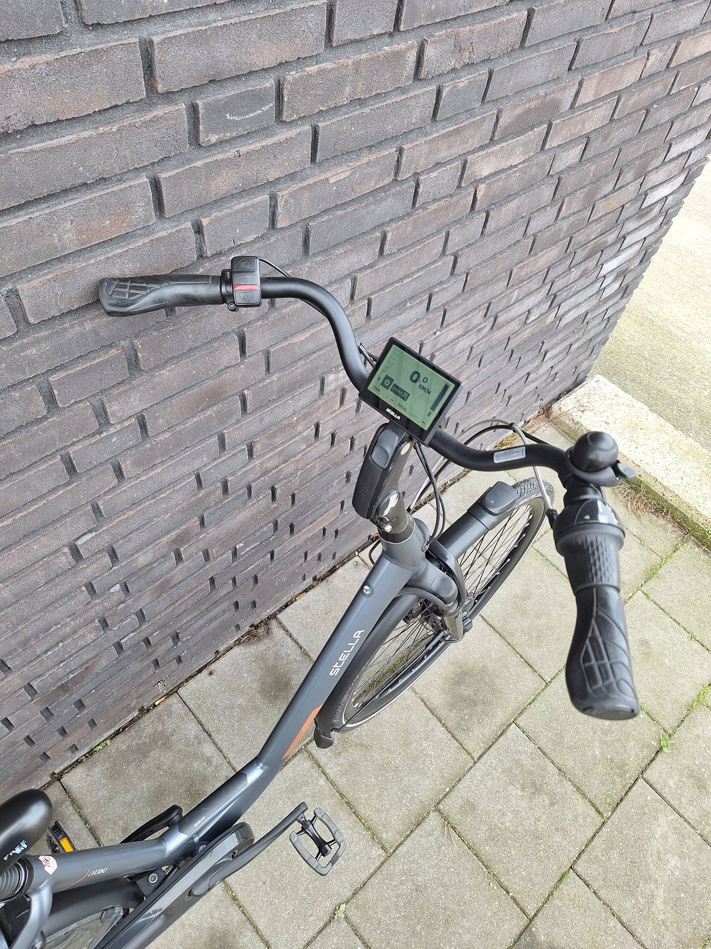 Stella Livorno Frost Blue FDST (53)