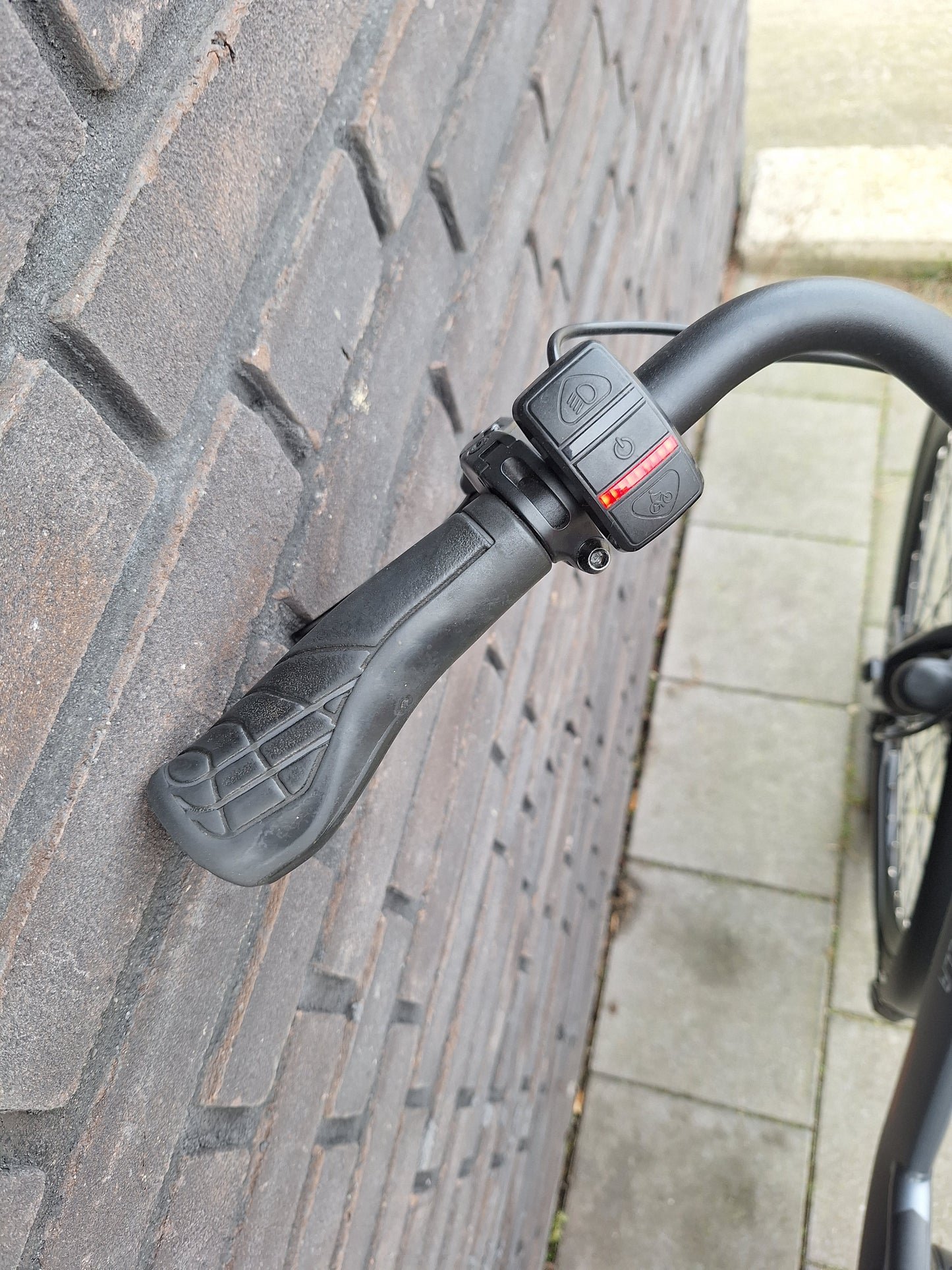 Stella Livorno Frost Blue FDST (53)