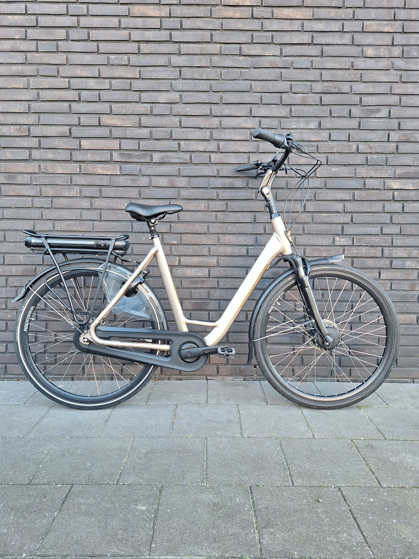 Stella Livorno Gold FDST (57)