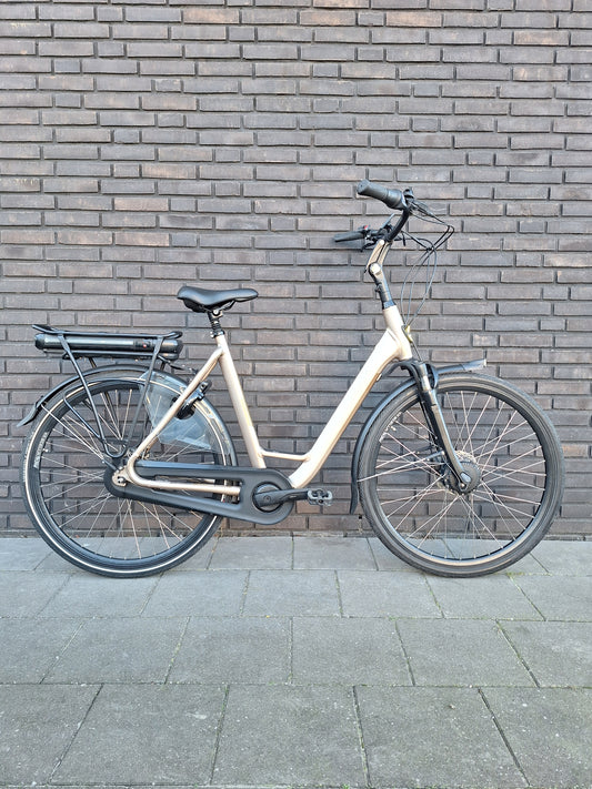 Stella Livorno Gold FDST (57)