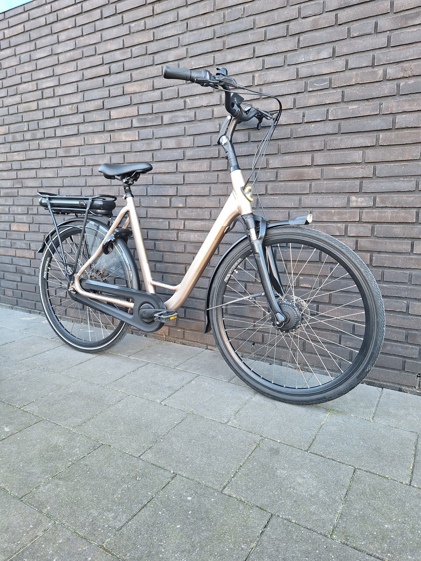 Stella Livorno Gold FDST (57)