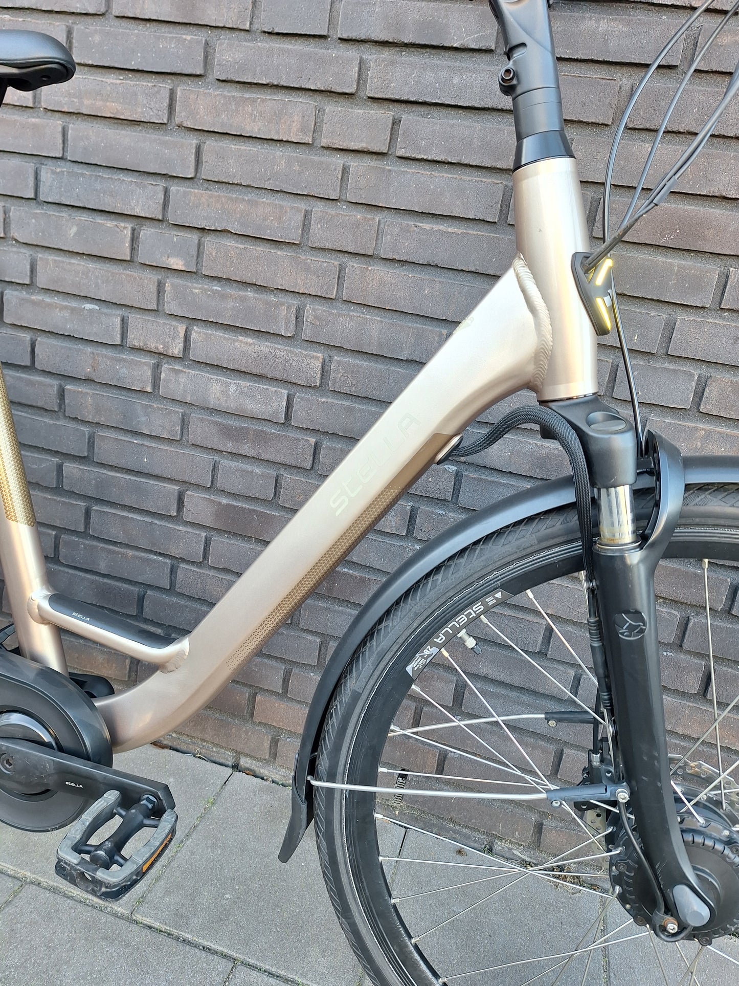 Stella Livorno Gold FDST (57)