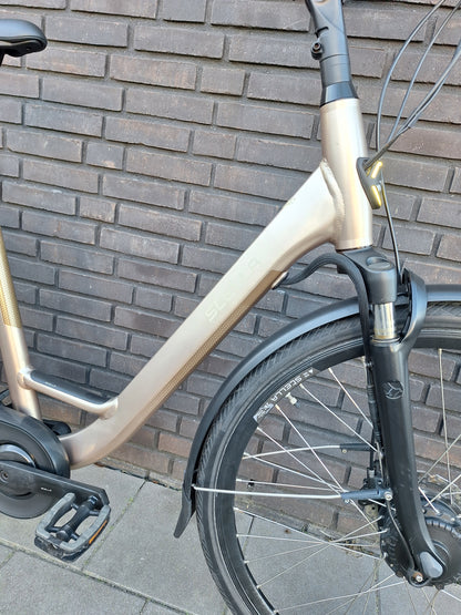 Stella Livorno Gold FDST (57)