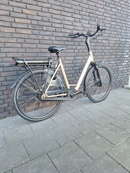 Stella Livorno Gold FDST (57)