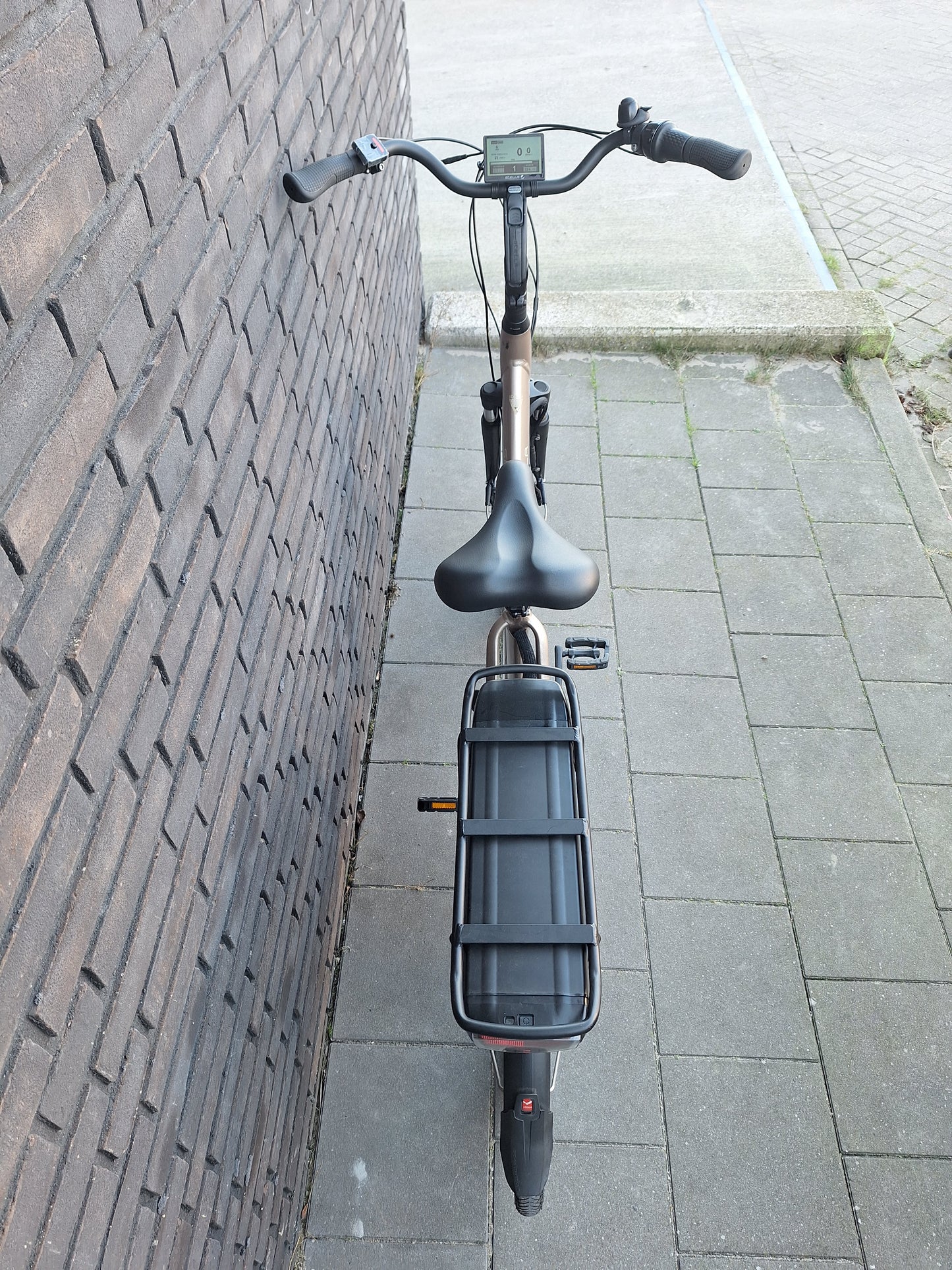 Stella Livorno Gold FDST (57)