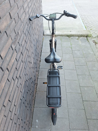 Stella Livorno Gold FDST (57)