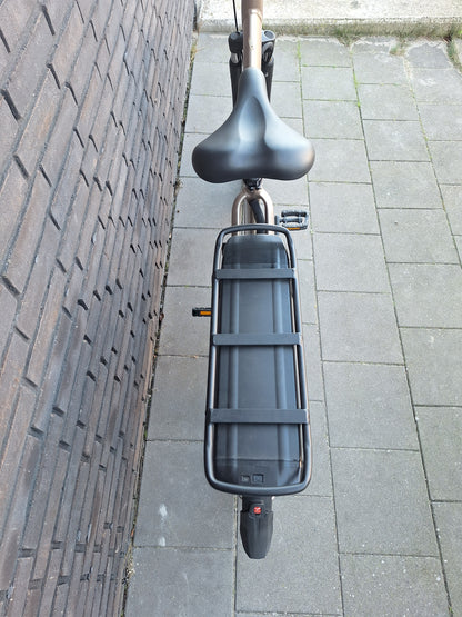 Stella Livorno Gold FDST (57)