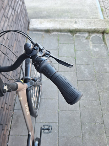 Stella Livorno Gold FDST (57)