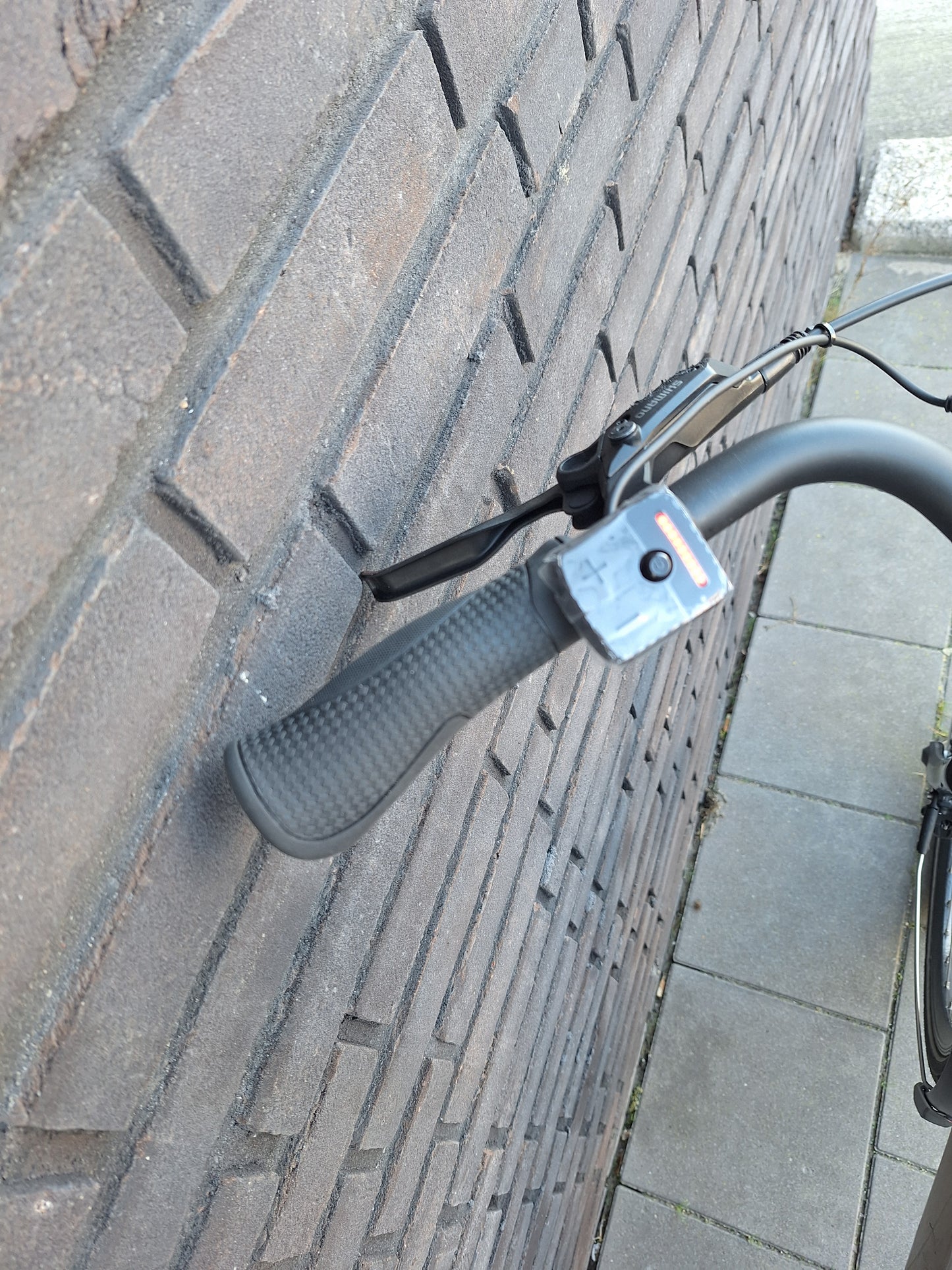 Stella Livorno Gold FDST (57)