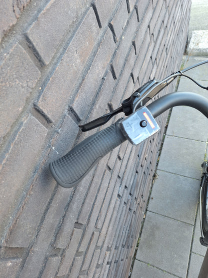 Stella Livorno Gold FDST (57)