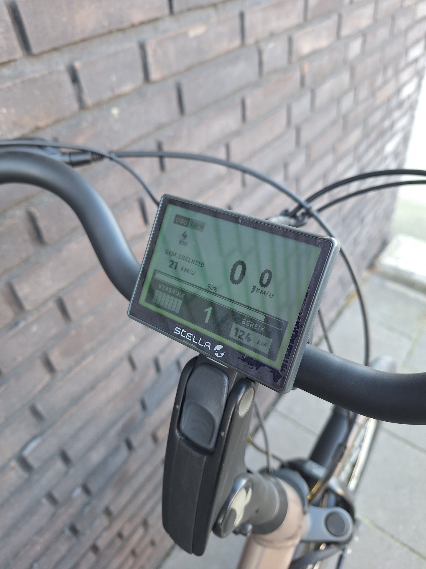 Stella Livorno Gold FDST (57)