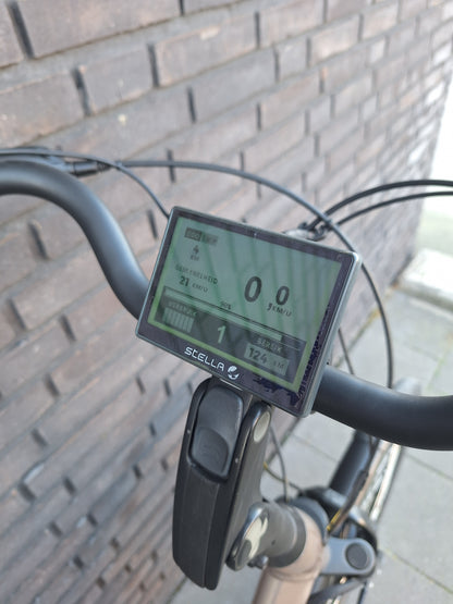 Stella Livorno Gold FDST (57)