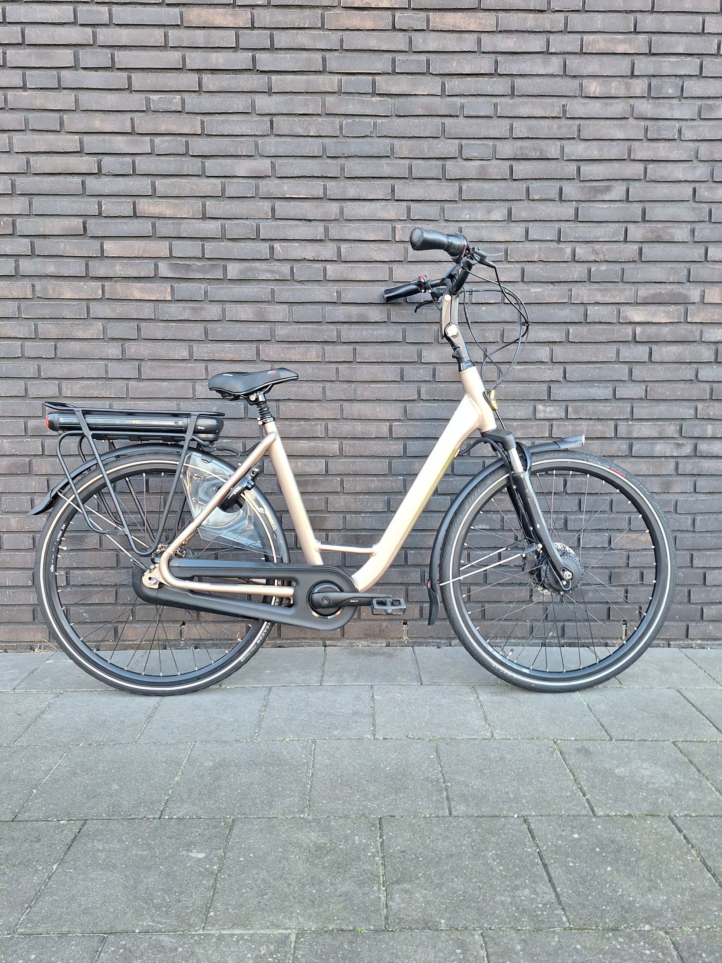 Stella Livorno Gold FDST (53)