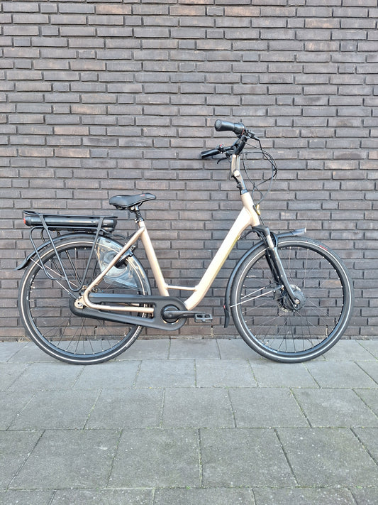 Stella Livorno Gold FDST (53)