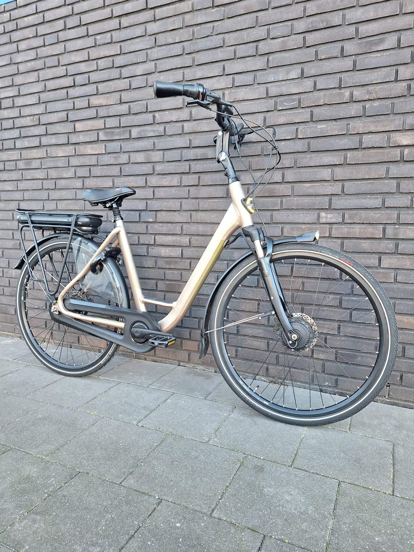 Stella Livorno Gold FDST (53)