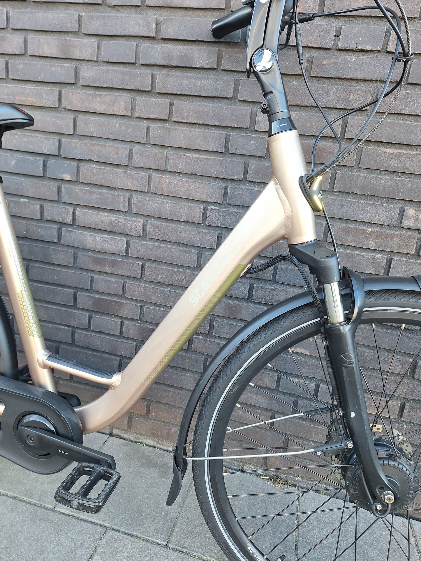 Stella Livorno Gold FDST (53)