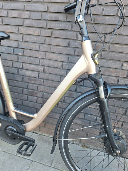 Stella Livorno Gold FDST (53)