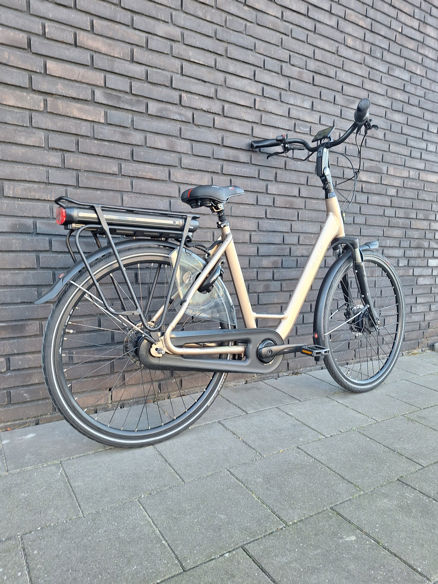 Stella Livorno Gold FDST (53)