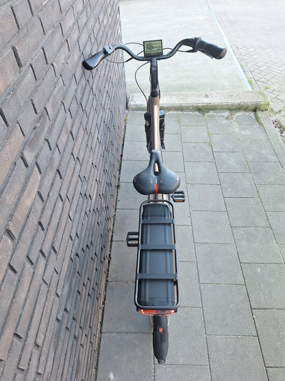 Stella Livorno Gold FDST (53)