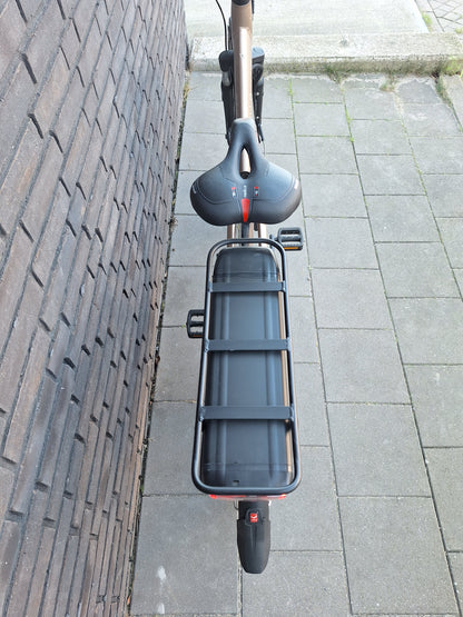 Stella Livorno Gold FDST (53)