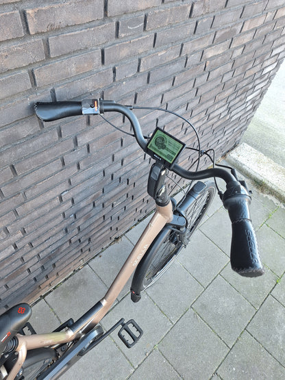 Stella Livorno Gold FDST (53)