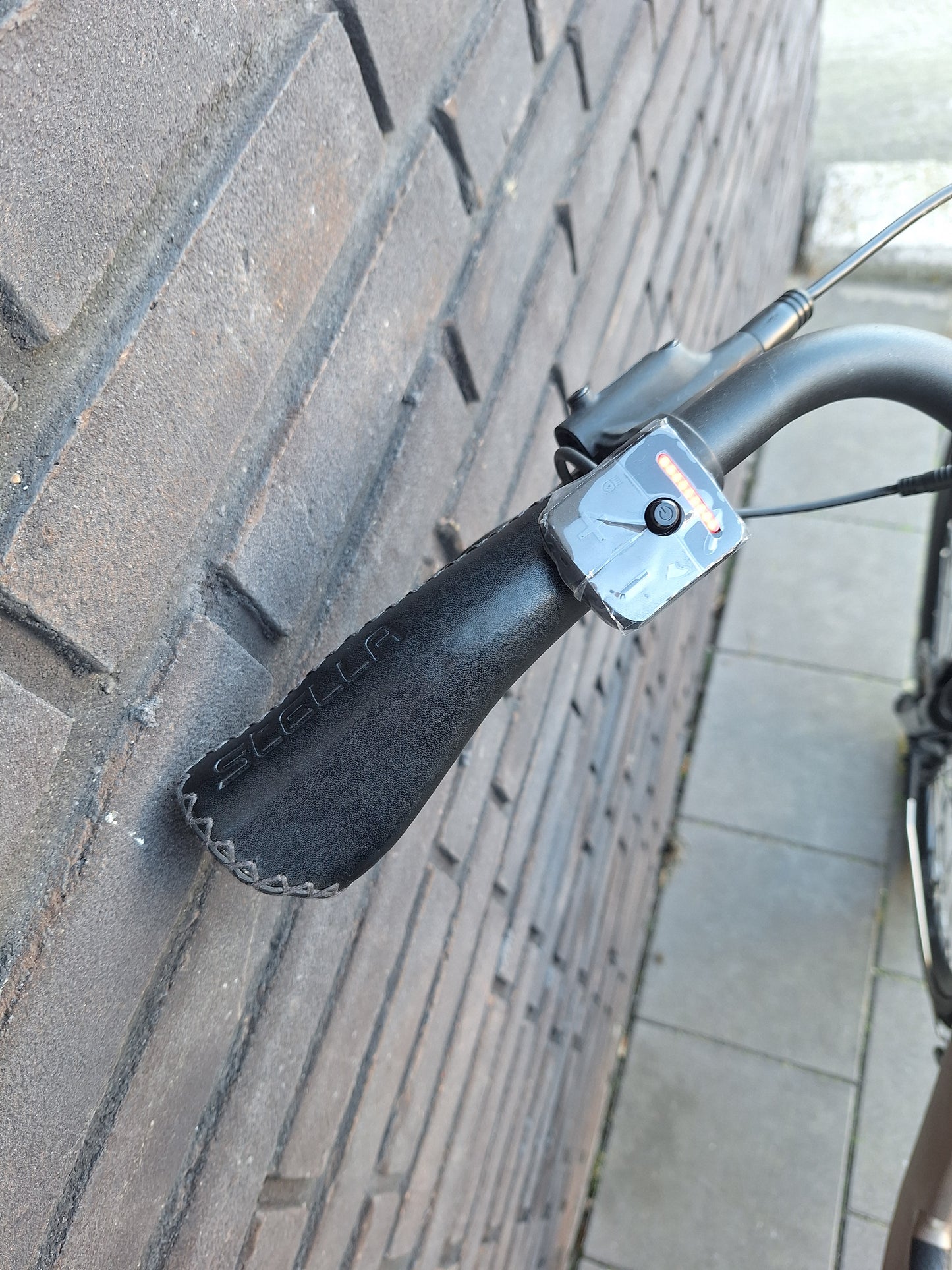 Stella Livorno Gold FDST (53)