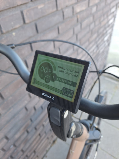 Stella Livorno Gold FDST (53)