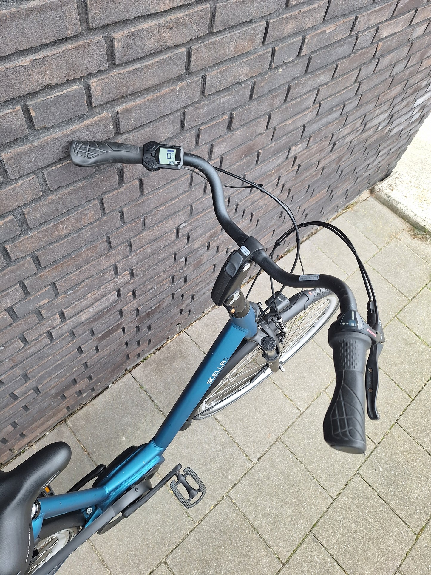 Stella Livorno Easy MDS (46)