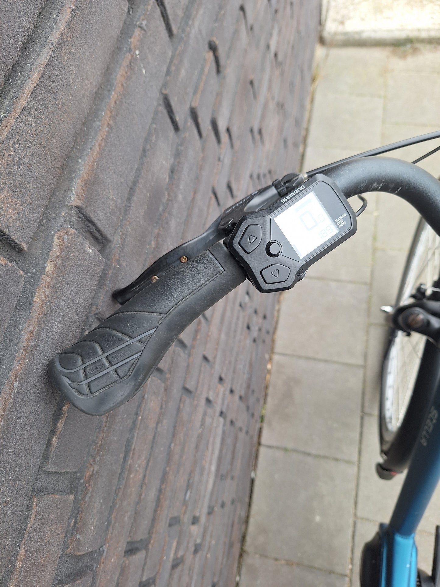 Stella Livorno Easy MDS (46)