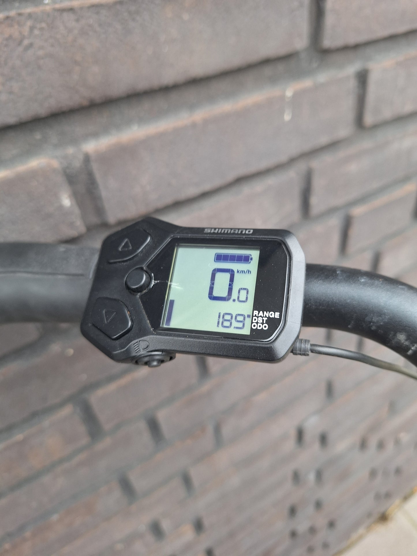 Stella Livorno Easy MDS (46)