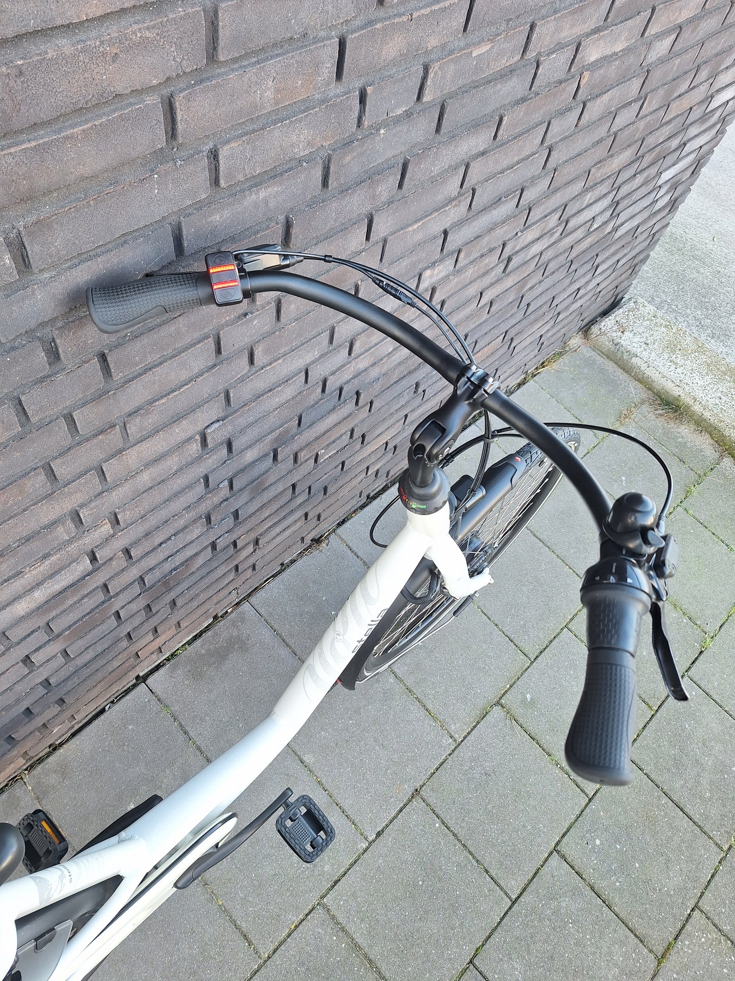 Stella Fiore Superior FDST (53)