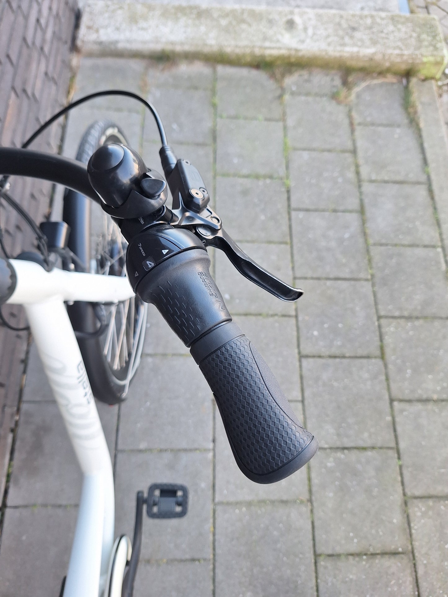 Stella Fiore Superior FDST (53)