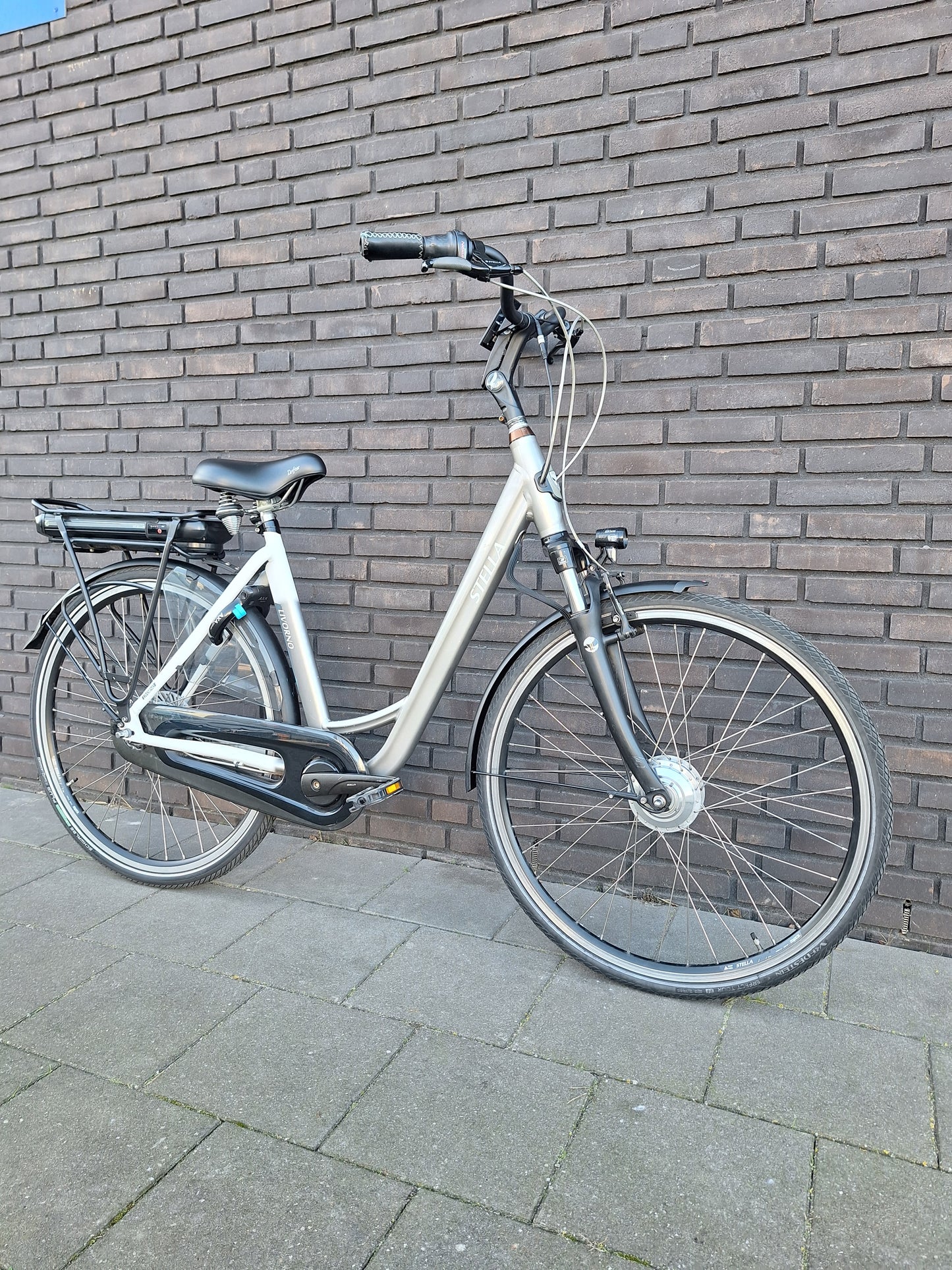 Stella Livorno Grey White FDST (53)