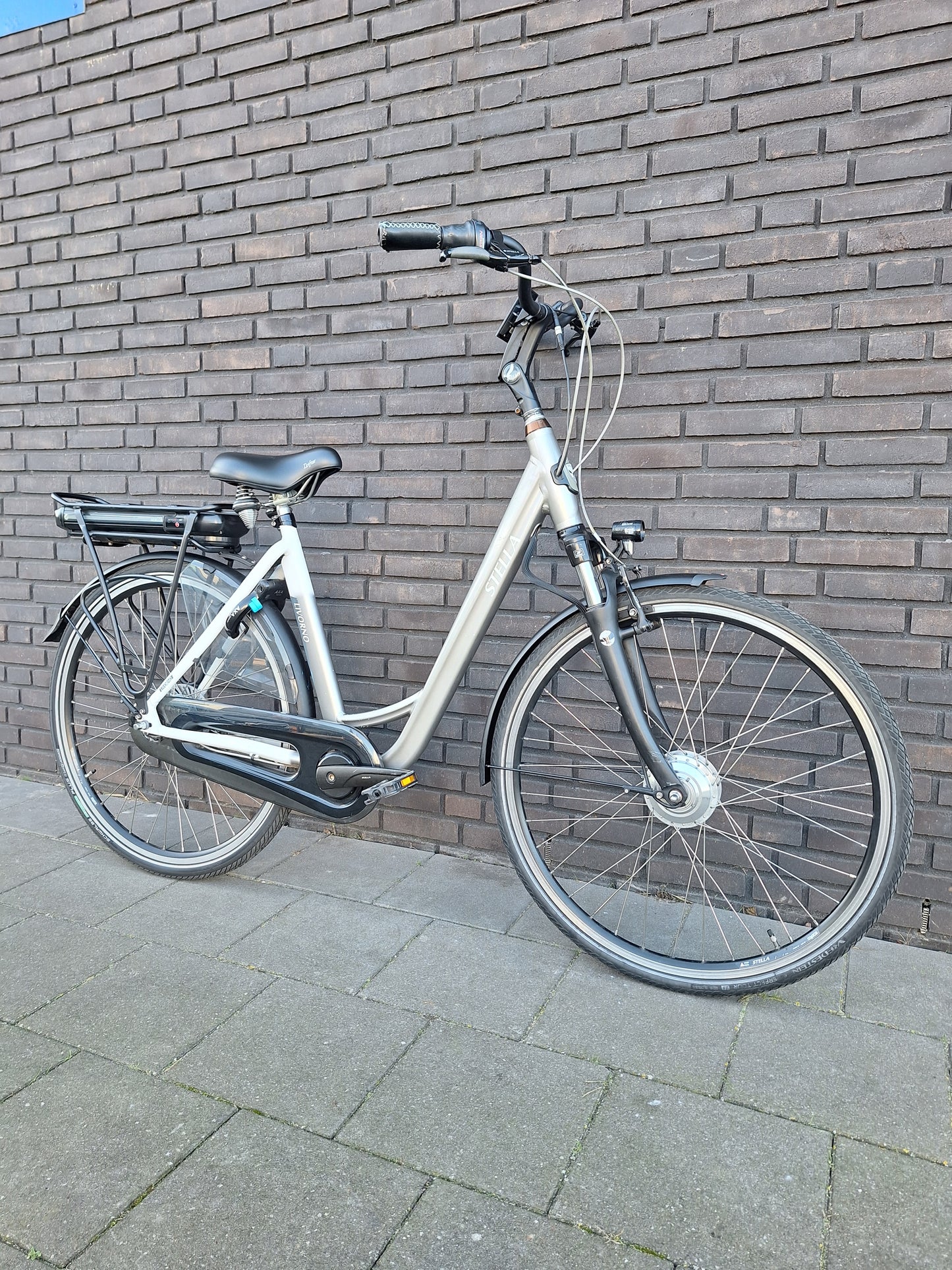 Stella Livorno Grey White FDST (53)