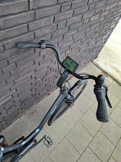 Stella Livorno Frost Blue FDST (53)