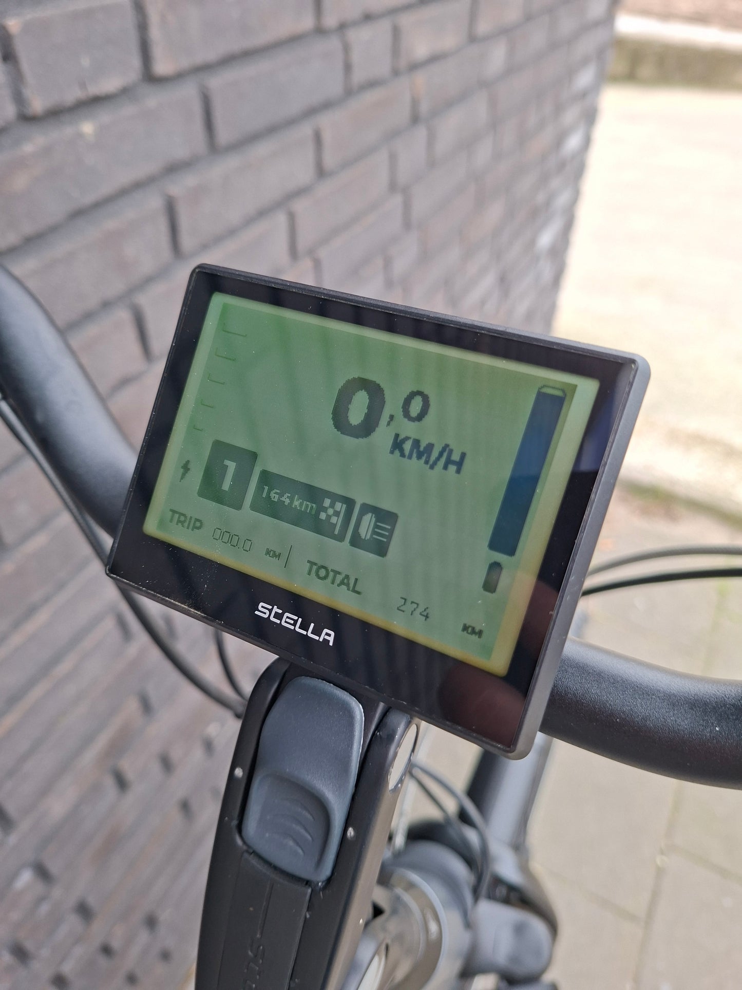 Stella Livorno Frost Blue FDST (53)