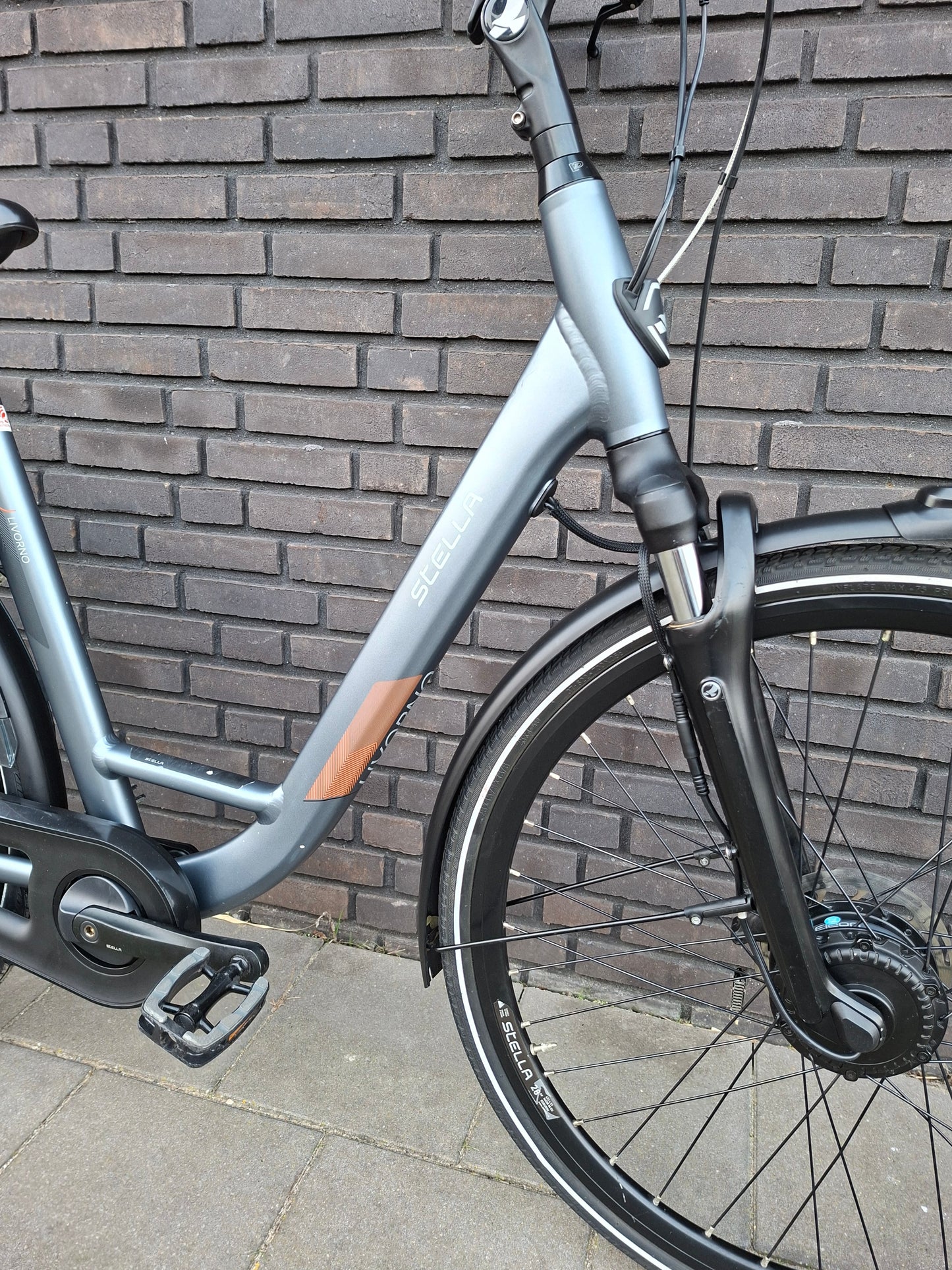 Stella Livorno Frost Blue FDST (53)