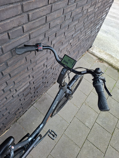 Stella Livorno Frost Blue FDST (53)